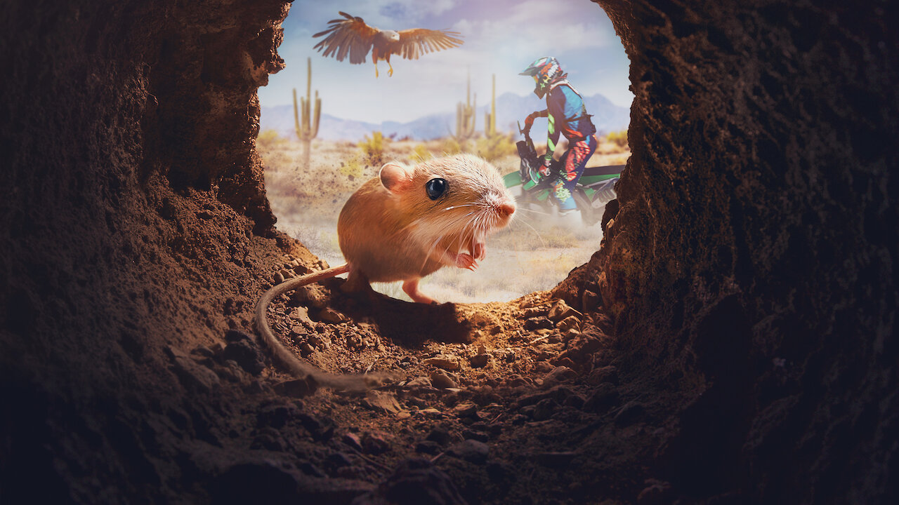 Watch Tiny Creatures | Netflix Official Site Watch Tiny Creatures | Netflix Official Site